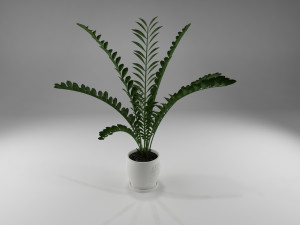 pot plant 3D-Modell