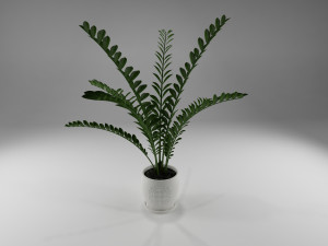 pot plant 3D-Modell