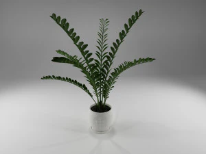 pot plant 3D Model