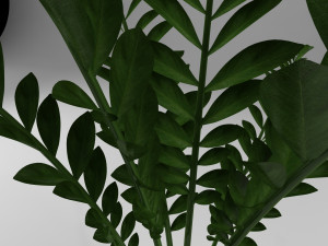 pot plant 3D-Modell