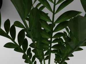 pot plant 3D Model