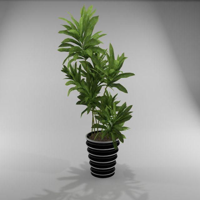 flowers Model 3D .c4d .max .obj .3ds .fbx .stl .blend 
