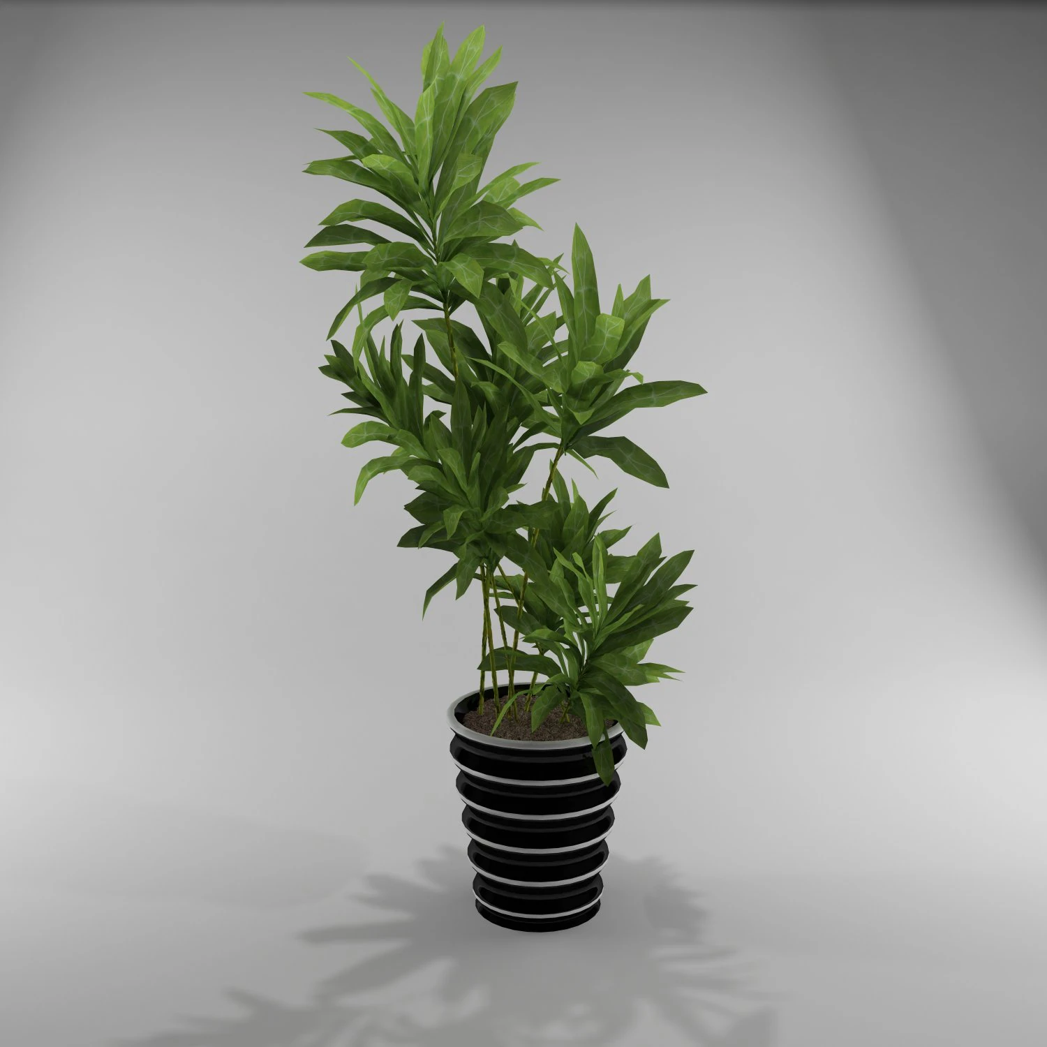 flowers 3D Model .c4d .max .obj .3ds .fbx .stl .blend 