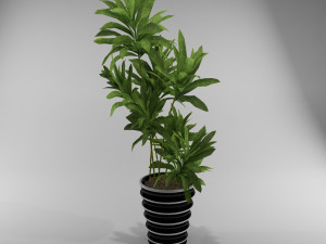 flowers 3D Model