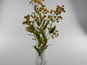 flowers Model 3D