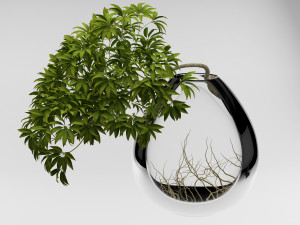 flowers Model 3D