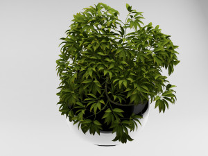 flowers Model 3D