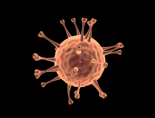 coronavirus animation Modelo 3D .c4d .max .obj .3ds .fbx .stl .blend 