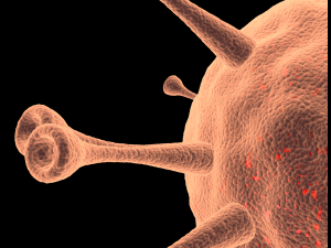 coronavirus animation Modelo 3D
