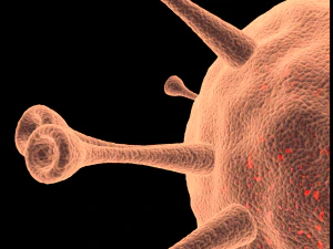 coronavirus animation 3D Model