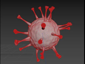 coronavirus animation 3D Model
