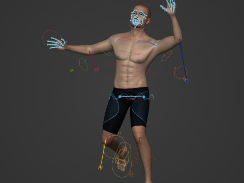 Swimmer - Rigged 3D Model