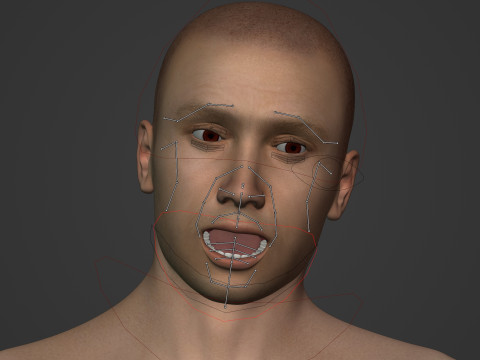 Swimmer - Rigged 3D Model