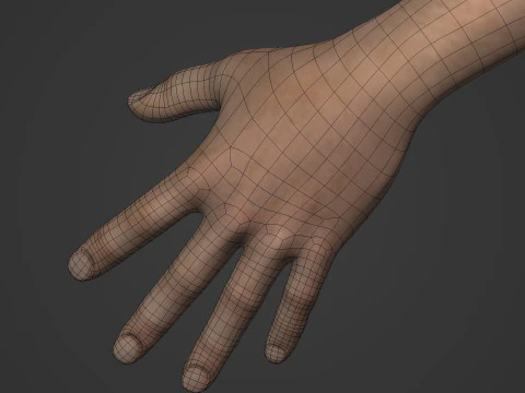 Swimmer - Rigged 3D Model