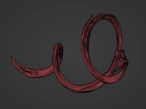 Paint Splash 3D Model