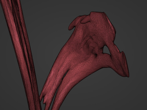 Paint Splash 3D Model