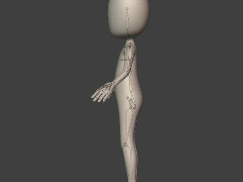 Cartoon Man -- Stickman with High Quality IK and FK Rig 3D Model