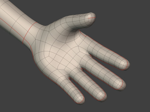 Cartoon Man -- Stickman with High Quality IK and FK Rig 3D Model