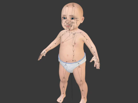 Rigged Baby Model 3D Model
