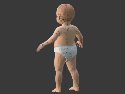 Rigged Baby Model 3D Model