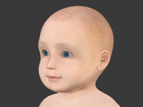Rigged Baby Model 3D Model