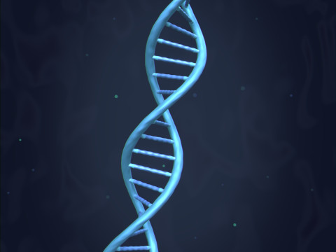 Ланцюг ДНК -- Молекула -- Спіраль -- Секвенування РНК Генетика 3D Модель