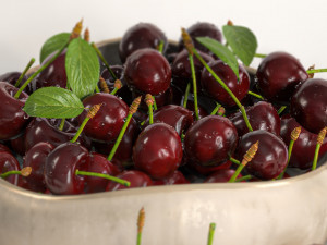 Cherry dish 3D Модель