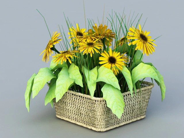 sunflower 3D Model .c4d .max .obj .3ds .fbx .stl .blend 