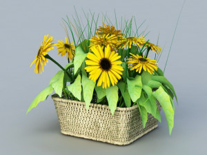sunflower 3D 模型