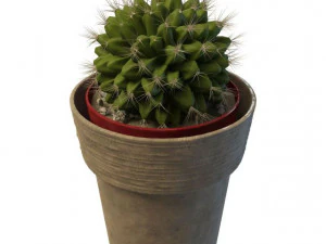 cactus a sfera Modello 3D