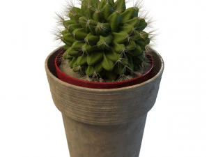 cactus a sfera Modello 3D