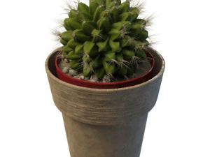 cactus a sfera Modello 3D