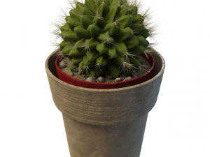 cactus a sfera Modello 3D