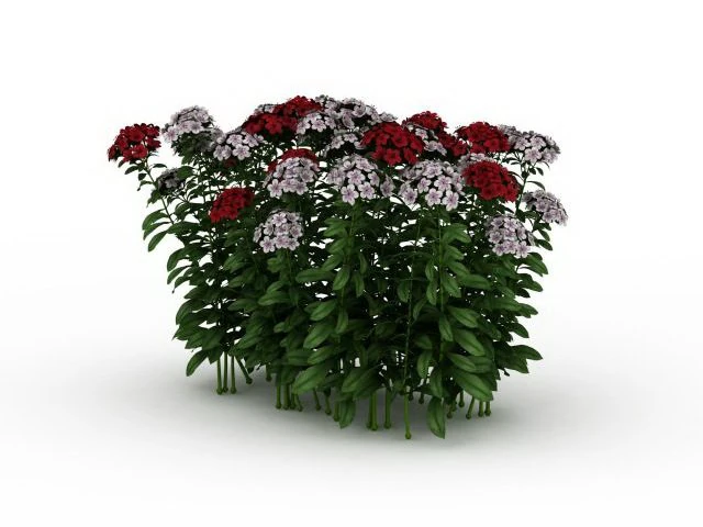 flowering shrubs 3D Model .c4d .max .obj .3ds .fbx .stl .blend
