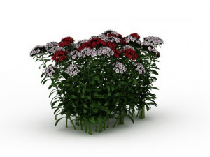 flowering shrubs Modello 3D
