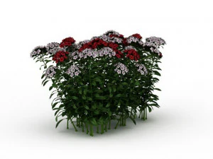 flowering shrubs 3D Model