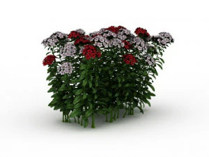 flowering shrubs 3D Model