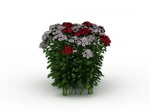 flowering shrubs 3D Model