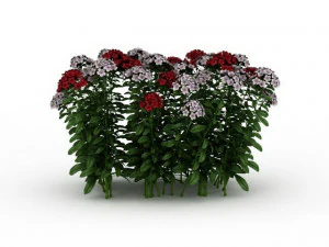 flowering shrubs 3D Model