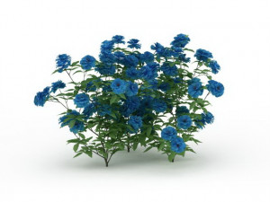 blue flowers Modelo 3D