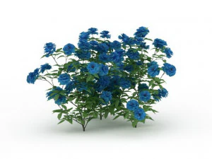 blue flowers 3D Model