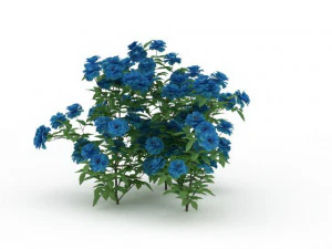 blue flowers 3D Model