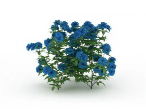 blue flowers 3D Model