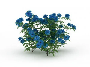 blue flowers 3D Model