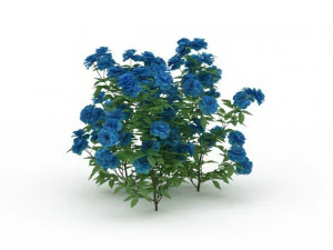 blue flowers 3D Model