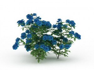 blue flowers Modelo 3D