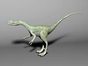 compsognathus dinosaur 3D Model