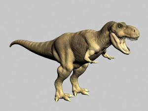 tyrannosaurus rex 3D 模型
