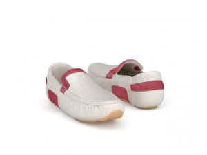 shoes 3D Model