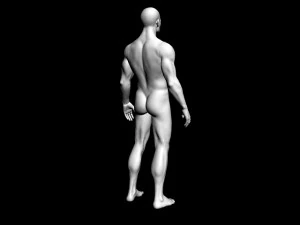 male body 3D Model